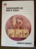 Documentation : Radiosurplus Ieri oggi