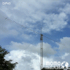 Momobeam Dipole 40m